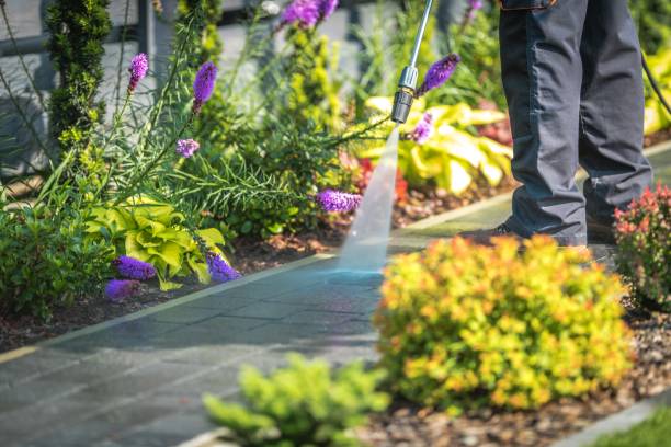 Best Roof Washing  in Highland City, FL